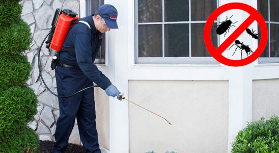 Bahçesaray Dezenfeksiyon böcek ilaçlama ve haşere kontrolü — ilaclama-tr.com